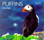 Puffins - Kenny Taylor