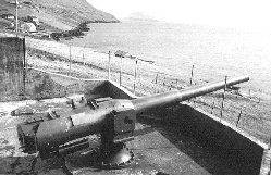 World War II canon