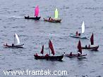 A sail boat race in Skalafjord.